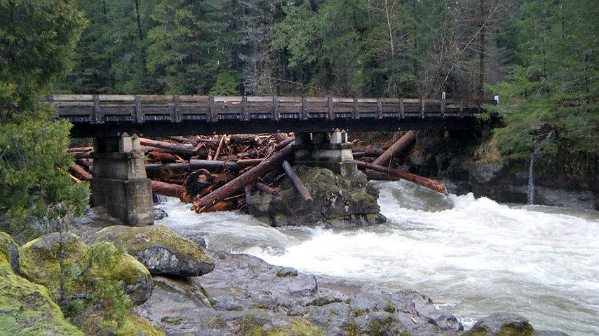 The Toxic Bridge
